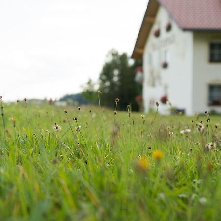 Hotel Pension Waldesruh Sankt Oswald-Riedlhuette Exteriér fotografie