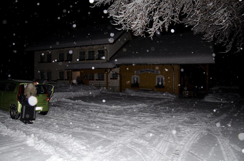 Hotel Pension Waldesruh Sankt Oswald-Riedlhuette Exteriér fotografie